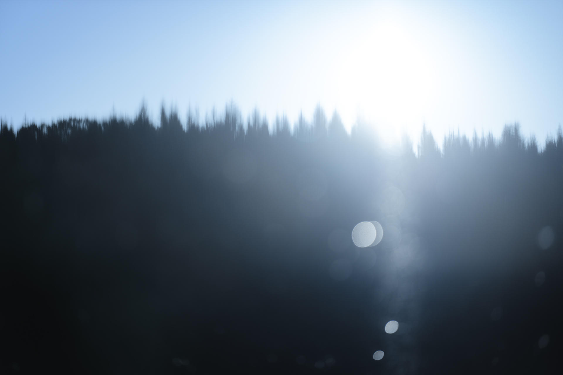 Dreaming Light