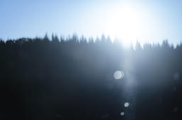 Dreaming Light