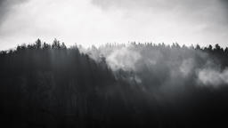 Hazy Day