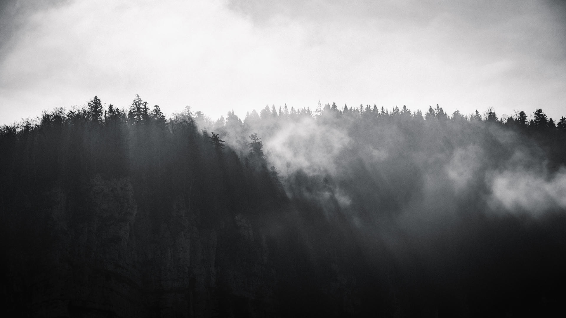 Hazy Day