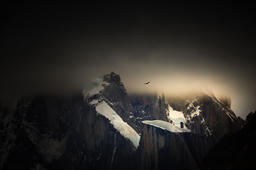 If I Could Fly