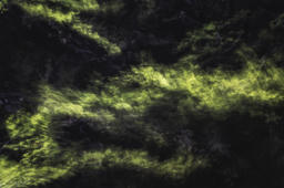Luminous Beings