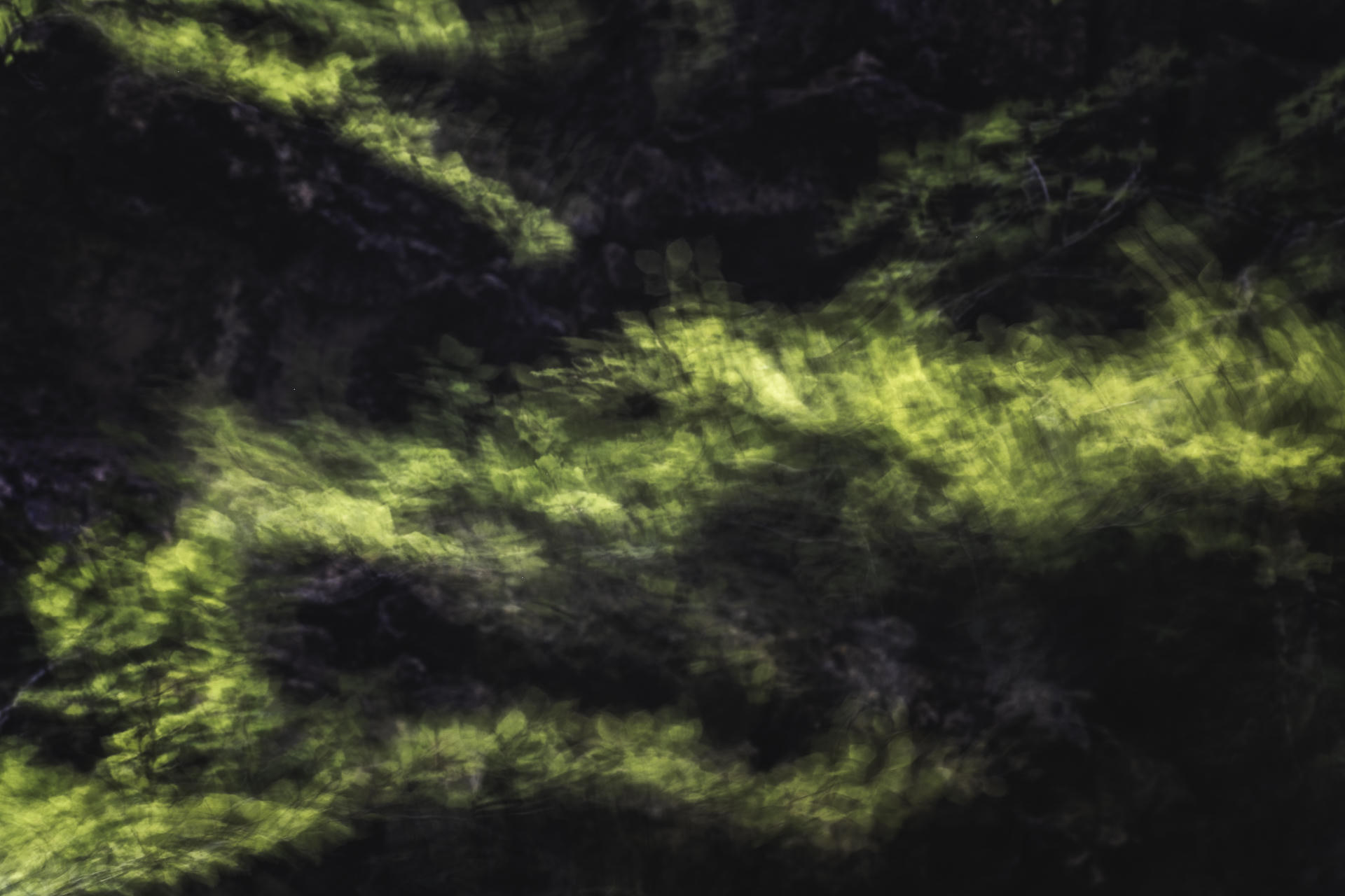 Luminous Beings