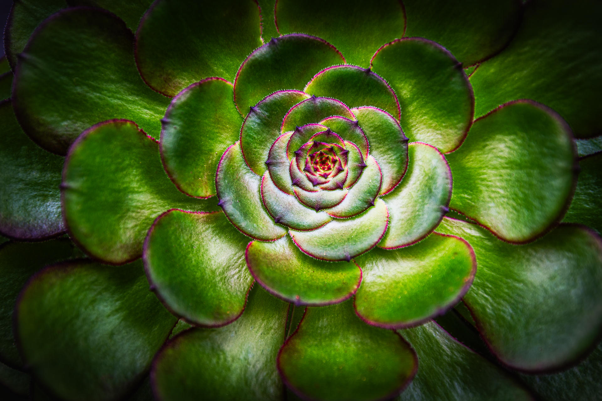 Spiral