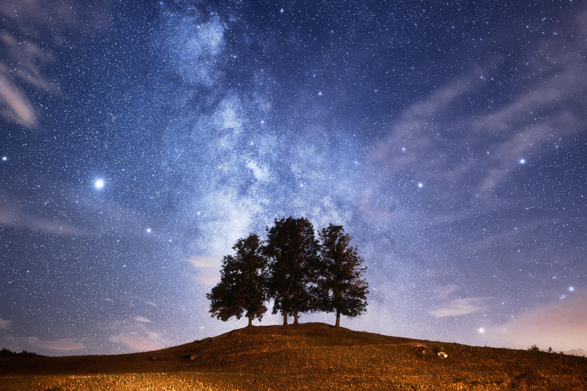 Stellar