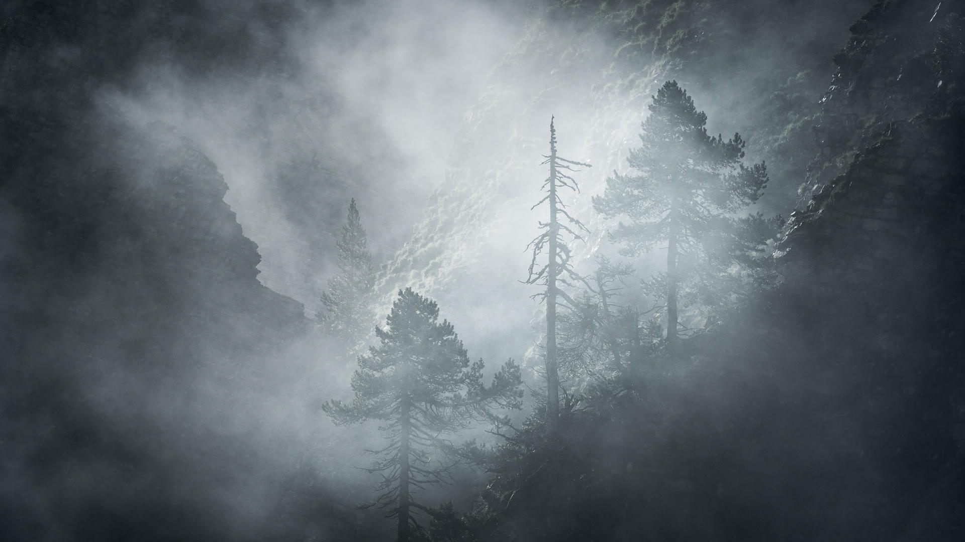 The Cloak