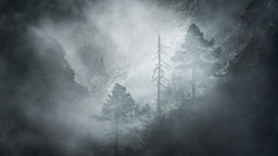 The Cloak