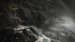 The Flood