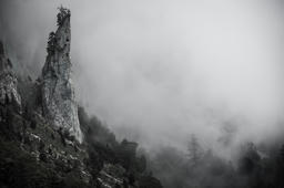 The Needle
