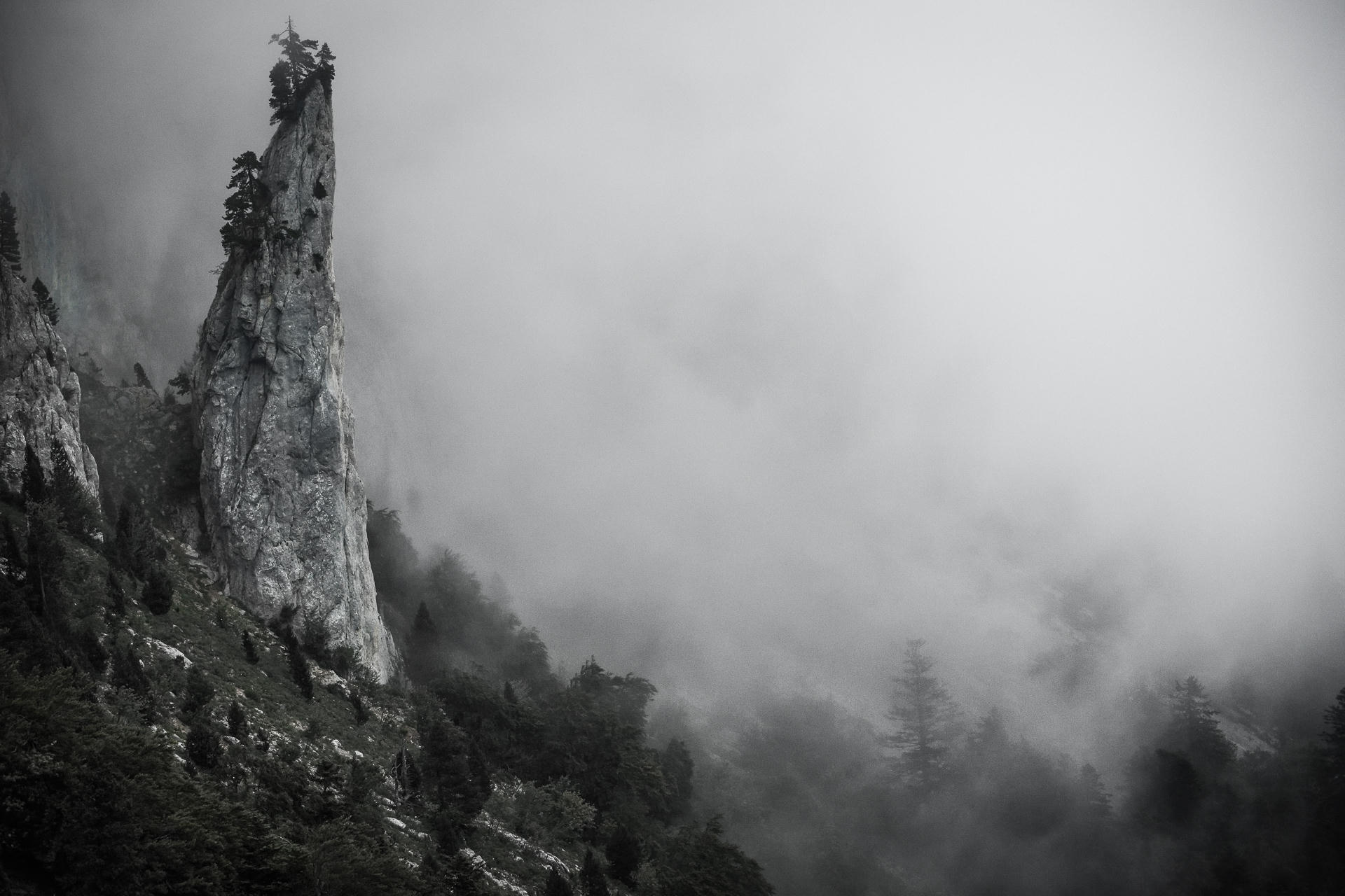 The Needle
