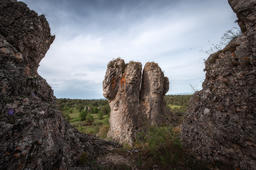 The Tower
