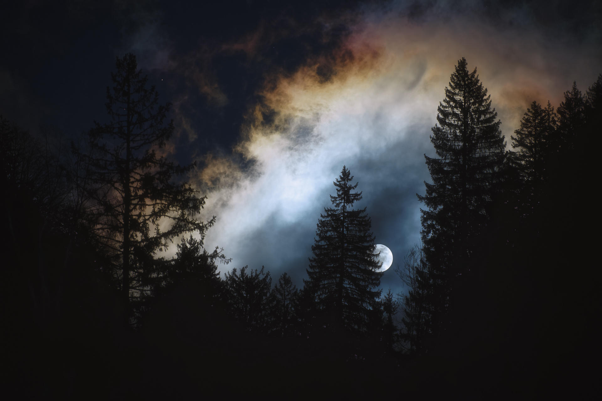 Under the Weeping Moon